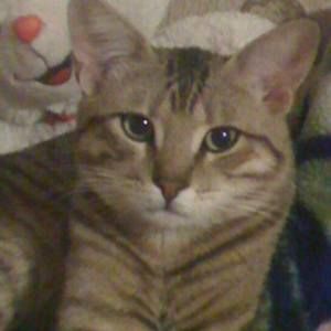 Meet your Posher, Rosa